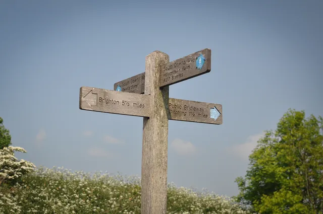 South Downs Way — photograph 74