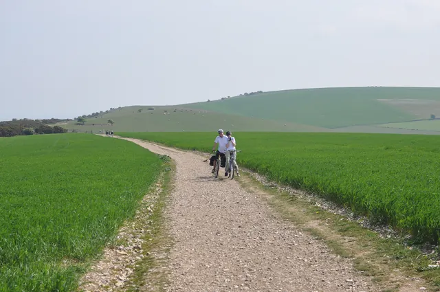South Downs Way — photograph 77
