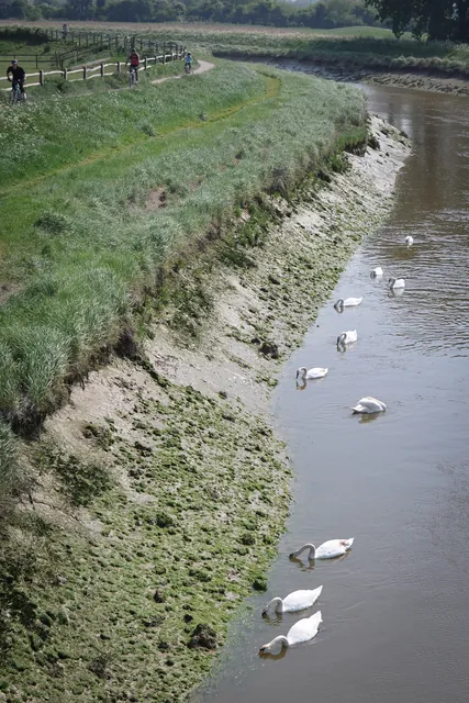 Crossing the River Adur