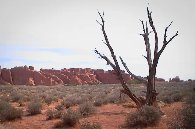 Welcome to the parched landscape of Arches National Park