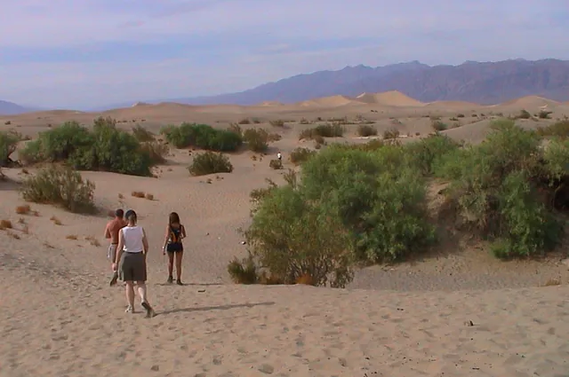 We venture into the sand dunes just outside of Stovepipe Wells