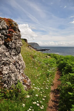 Isle of Mull — photograph 15