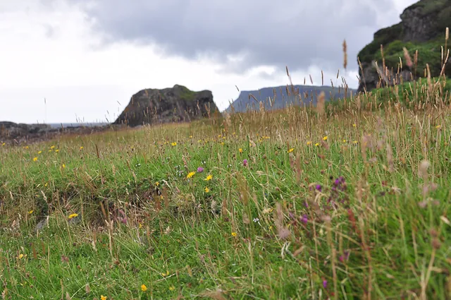 Isle of Mull — photograph 26