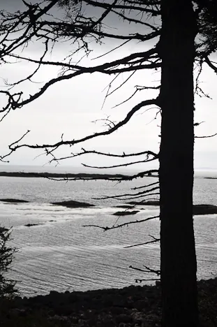 Isle of Mull — photograph 30