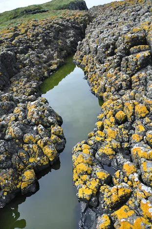 Isle of Mull — photograph 58