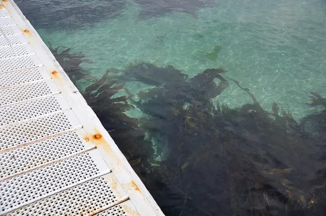 The water was incredibly clean and clear