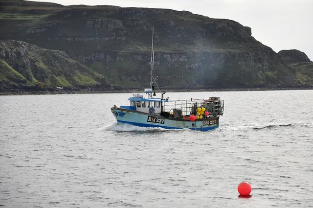 A fishing boat returning back to base