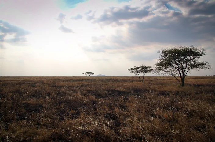 Serengeti