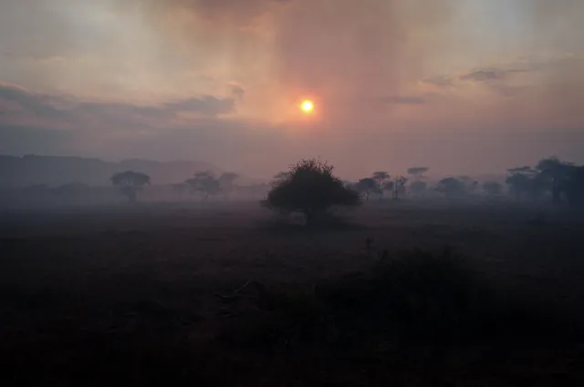 Controlled burning creating a very eery sunset shot