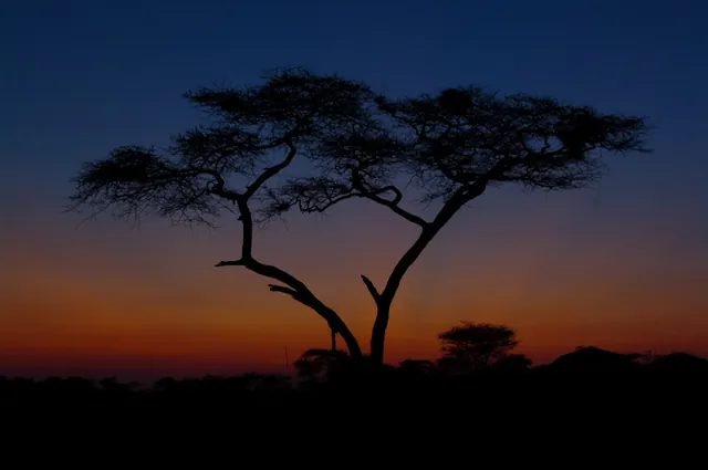 Spectacular sunrise in the Serengeti as we get up for our early morning game drive