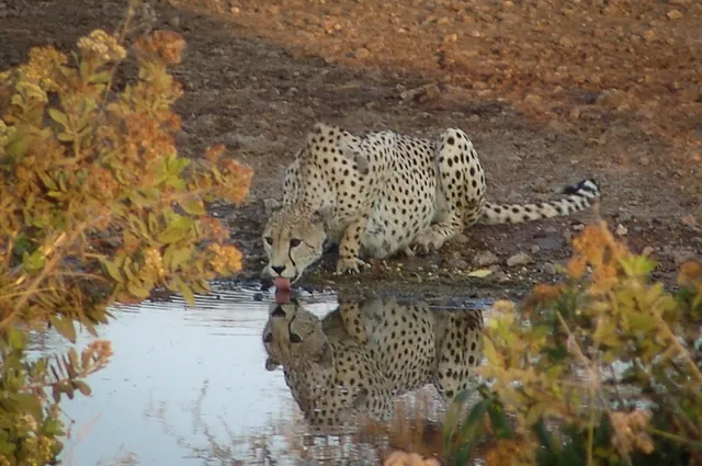 Serengeti — photograph 39
