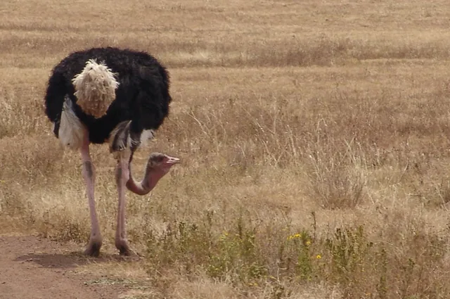 Ngorongoro Crater — photograph 3