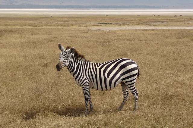 Ngorongoro Crater — photograph 6