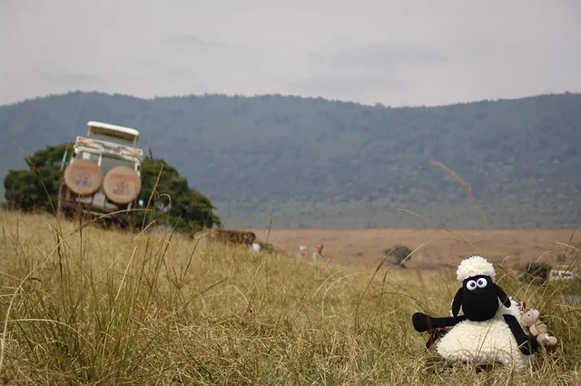 Shaun on safari