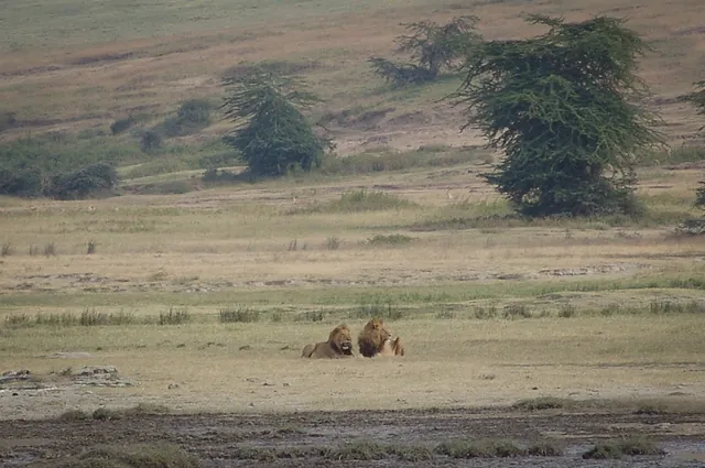 Ngorongoro Crater — photograph 23