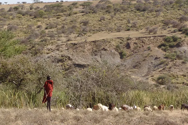 Olduvai Tented Camp — photograph 25