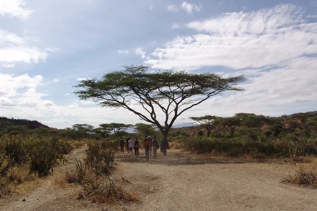 Olduvai Tented Camp — photograph 26