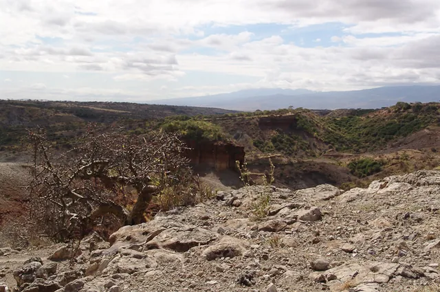 Olduvai Tented Camp — photograph 28