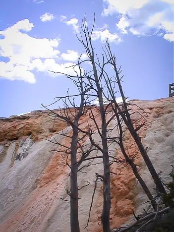 Yellowstone — photograph 4