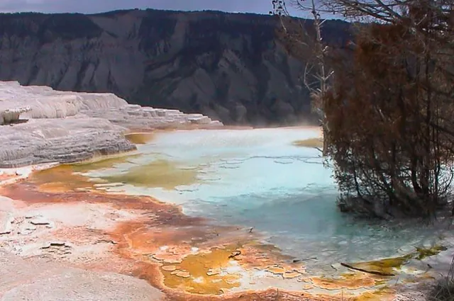 Yellowstone — photograph 9
