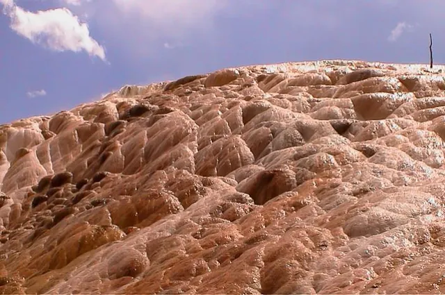 Yellowstone — photograph 10