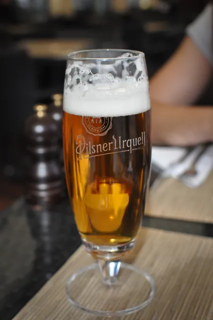 Come lunch, the first Pilsner Urquell was ordered. Nice fresh taste initially, but half way down the bitter after-taste was starting to niggle me