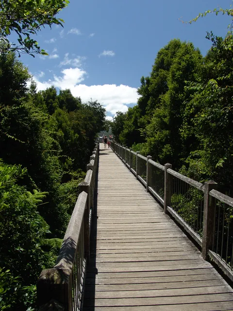 The start of the skywalk near the visitor's centre