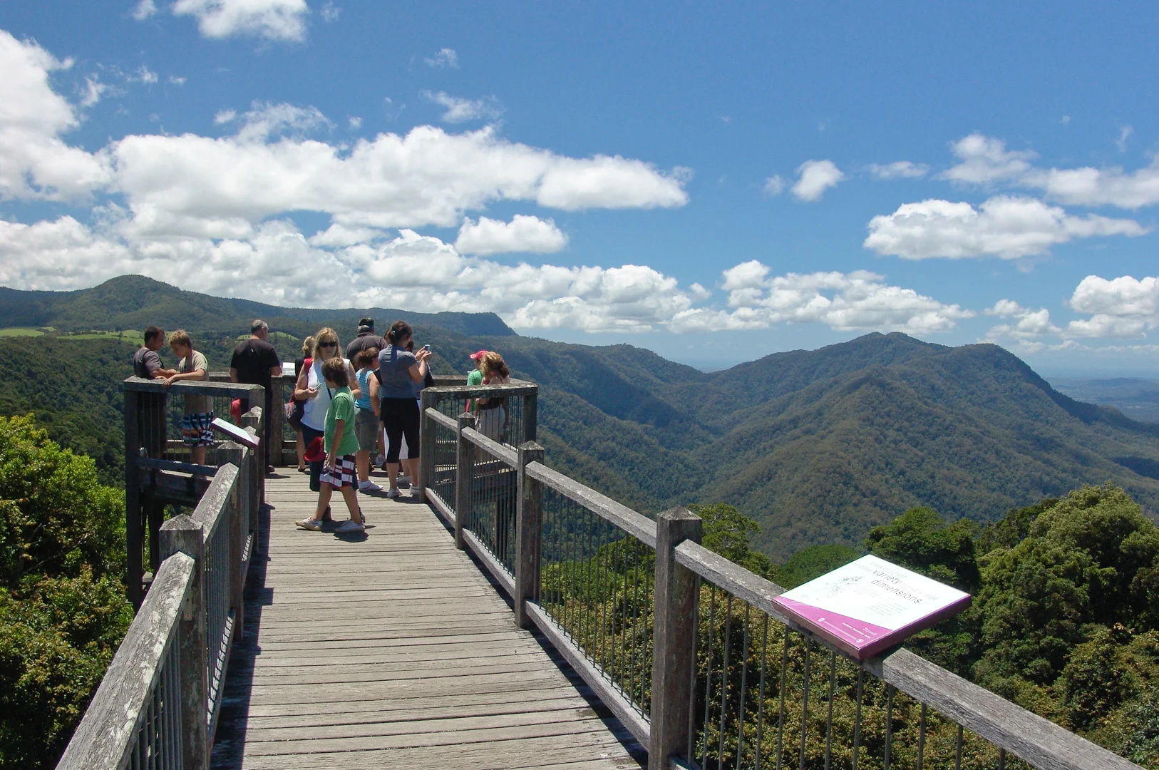 Dorrigo National Park