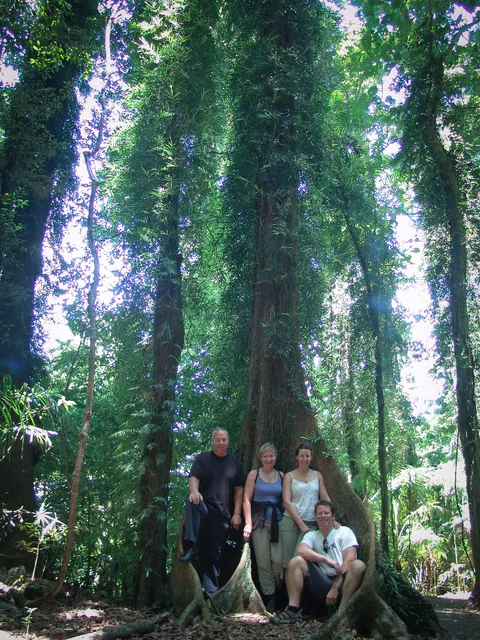 Family tree trunk shot