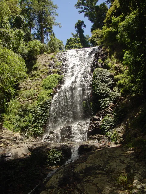 Tristania Falls