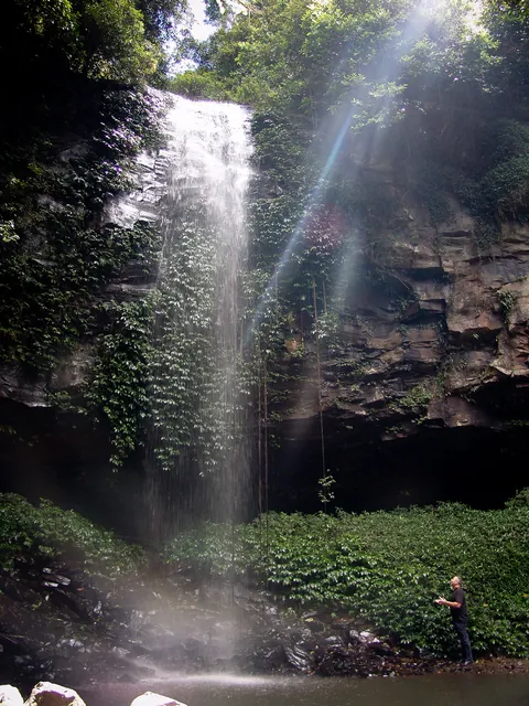 Dorrigo National Park — photograph 29
