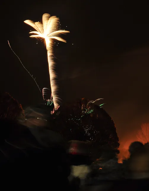 Palm tree firework?