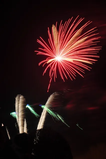 Winchester Bonfire Night — photograph 26