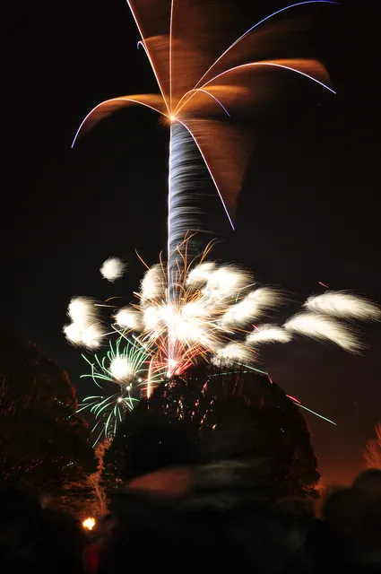 Winchester Bonfire Night — photograph 29