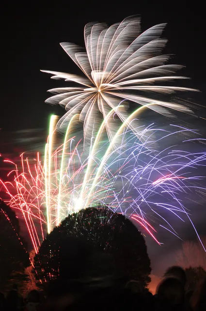 Winchester Bonfire Night — photograph 30