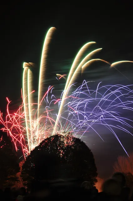 Winchester Bonfire Night — photograph 31
