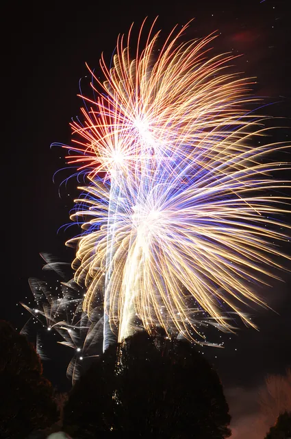 Winchester Bonfire Night — photograph 33