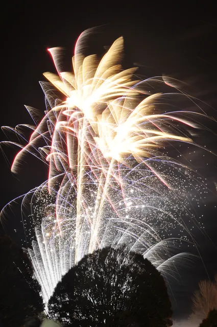 Winchester Bonfire Night — photograph 38
