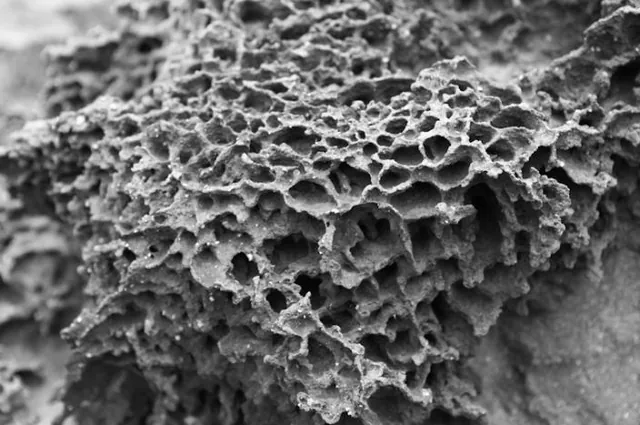 texture (looks like a bath loofah to me!)