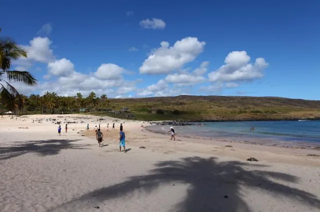 Life's a beach!