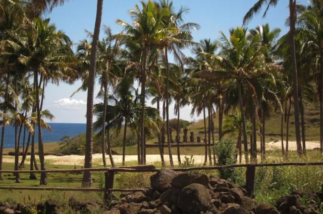 Easter Island (Rapa Nui) — photograph 26