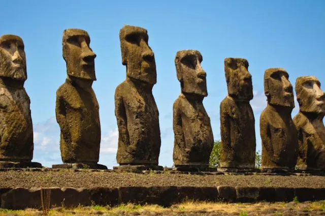 A line of 15 Moai's that have been restored to their original state by a Japanese corporation.