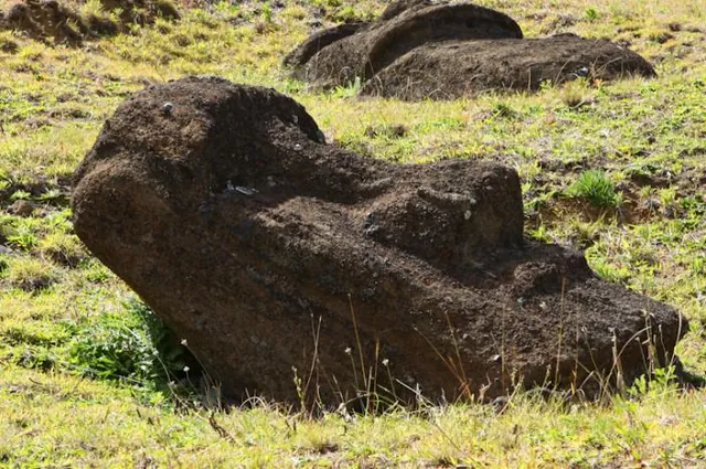Many of the Moai were left on the ground or in unfinished states when the island people stopped making the statues.