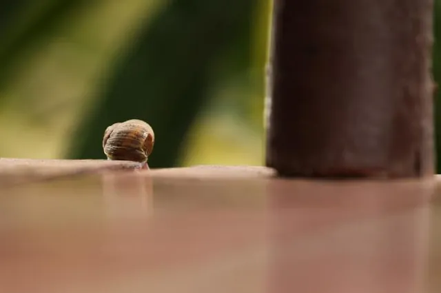 Things move pretty slowly on the island