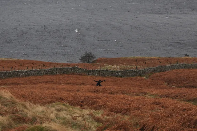 The bracken was about the only colour left on the fells