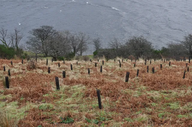 Haweswater — photograph 20