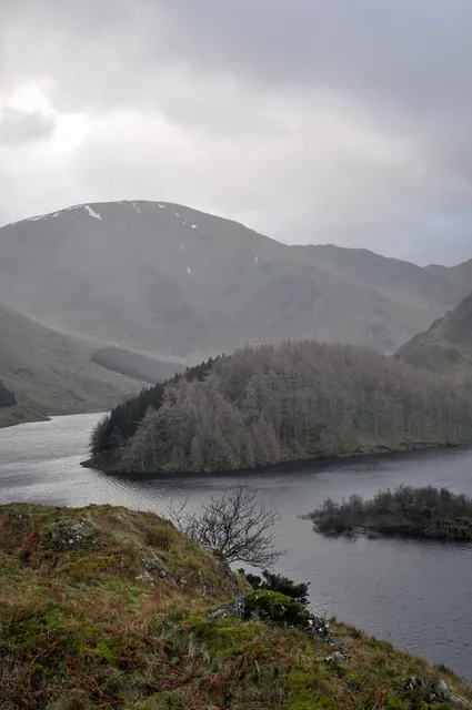Looking back at The Rigg with two tone trees