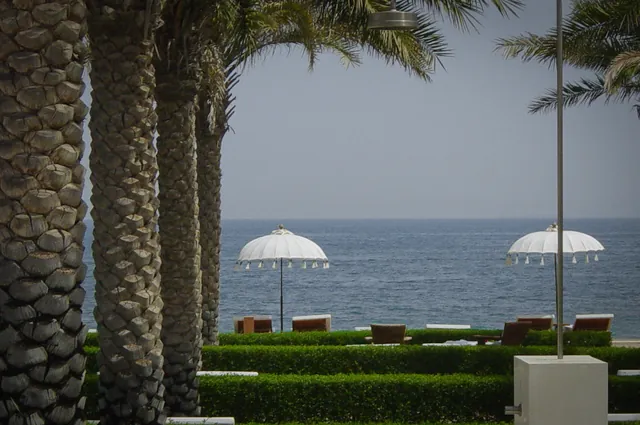 Muscat — photograph 25