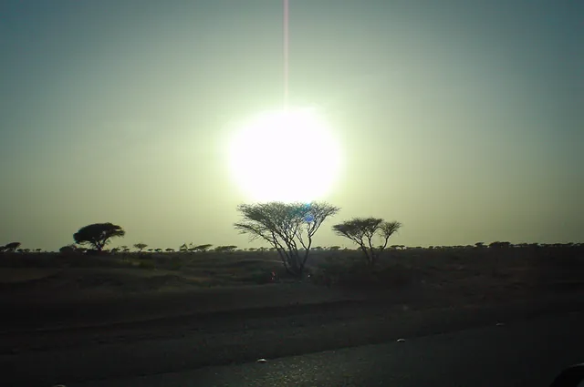 Looking south east into the Empty Quarter