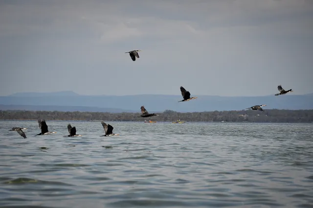 The basin is a twitcher's paradise, although most of the birds are very skittish